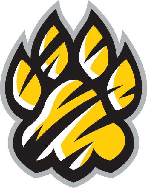 Towson Tigers 2004-Pres Alternate Logo v3 DIY iron on transfer (heat transfer)